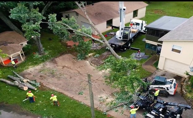 tree fallen near the house